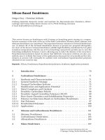 Dendrimers II Episode 2 pot