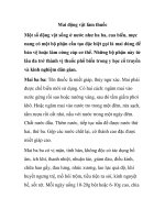 Mai động vật làm thuốc potx