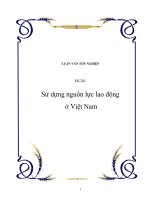 Đề tài: Sử dựng nguồn lực lao động ở Việt Nam pptx