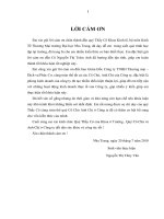 Mở rộng hệ thống kênh phân phối  cho dòng  điện thoại gigaset  simens của công ty TNHH TM – DV phúc cơ