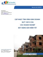 cập nhật tình hình kinh doanh quý 1 năm 2013 của các doanh nghiệp bất động sản niêm yết ngày cập nhật 05 tháng 05 năm 2013 ngành bất động sản công ty cổ phần chứng khoán fpt