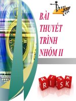 Bài giảng quản trị rủi ro dự án pps