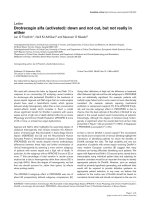 Báo cáo khoa học: 