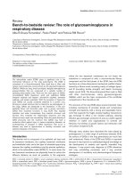 Báo cáo khoa học: 