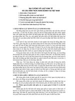 Bài giảng pháp luật kinh tế_c1 pot