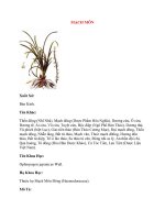 Lý Thuyết Dược Học: MẠCH MÔN ppsx