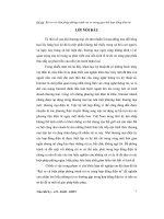 Rủi ro và biện pháp phòng tránh rủi ro trong giao kết hợp đồng điện tử