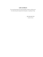 luận văn tốt nghiệp cao học kinh tế giải pháp phát triển dịch vụ phi tín dụng tại nhtmcp bưu điện liên việt