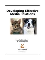 developing effective media relations