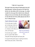 “Chiếc cầu” trong trái tim pps