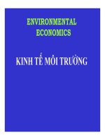 tài liệu kinh tế môi trường