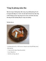 Vòng lá phong mùa thu pptx