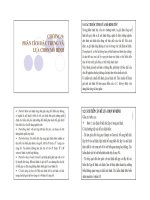 Đặc trưng marketing 1 pot