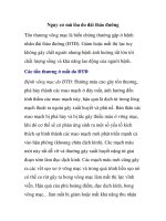 Nguy cơ mù lòa do đái tháo đường pps