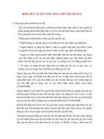 Lý Thuyết Tín Dụng Ngân Hàng: HÌNH THỨC TỰ BÁN CÔNG KHAI TRÊN THỊ TRƯỜNG potx