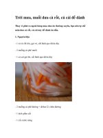 Trời mưa, muối dưa cà rốt, củ cải để dành docx