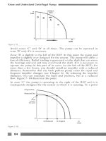 Know and Understand Centrifugal Pumps Episode 6 potx