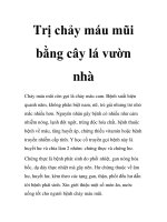 Trị chảy máu mũi bằng cây lá vườn nhà ppsx