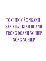 TỔ CHỨC CÁC NGÀNH SẢN XUẤT KINH DOANH TRONG DOANH NGHIỆP NÔNG NGHIỆP ppsx