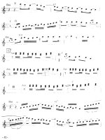 Độc tấu Guitar - New Flamenco part 3 pdf