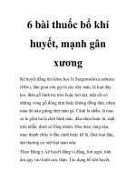 6 bài thuốc bổ khí huyết, mạnh gân xương pptx