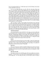 Lựa chọn thị trường mục tiêu 5 docx
