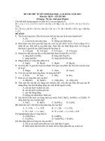 ĐỀ THI THỬ TUYỂN SINH ĐẠI HỌC, CAO ĐẲNG NĂM 2011 Môn thi : HOÁ – MÃ ĐỀ 009 potx