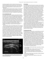 Applied Radiological Anatomy for Medical Students Applied - part 8 pdf