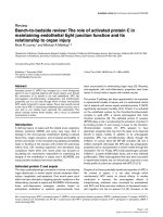 Báo cáo khoa học: 