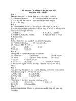 Đề luyện thi Tốt nghiệp và Đại học Năm 2011 Môn: Hoá Học – Đề số 9 pps