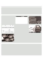 Werkstoffkunde I WS 05 06 Episode 1 pot