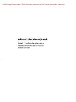 công ty cổ phần sông đà 8 báo cáo tài chính hợp nhất cho năm tài chính kết thúc 31 tháng 12 năm 2013 đã được kiểm toán