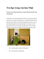 Trà đạo trong văn hóa Nhật docx