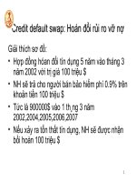 Bài giảng: Rủi ro trong hoạt động của ngân hàng_p3 pps