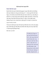 Bệnh mạch máu ngoại biên ppsx