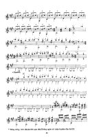 Tác phẩm hay Guitar classic part 10 docx