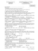 ĐỀ THI THỬ ĐẠI HỌC LẦN 1 NĂM 2011 MÔN: HÓA HỌC - Mã đề thi 963 ppt