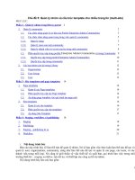 Quản lý nhóm và cấu trúc template cho nhiều trang tin (multisite)