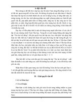 sáng kiến kinh nghiệm cấp tỉnh môn toán