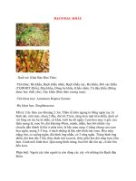 Lý Thuyết Dược Học: BẠCH ĐẬU KHẤU docx