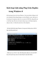 Kích hoạt tính năng Ping Echo Replies trong Windows 8 pps