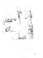 Hướng dẫn tập luyện thể dục thể hình part 4 potx