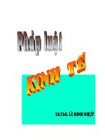 Bài giảng pháp luật kinh tế_c2_ppt docx