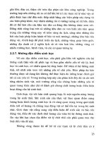 Công nghệ tái sử dụng chất thải công nghiệp part 2 pptx