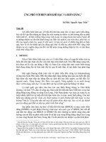 ỨNG PHÓ VỚI BIẾN ĐỔI KHÍ HẬU VÀ BIỂN DÂNG potx