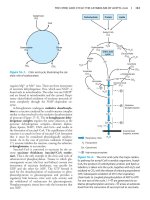 Harper’s Illustrated Biochemistry - Part 3 pdf