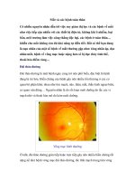 Mắt và các bệnh toàn thân pptx