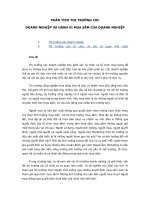 Thị trường các tổ chức và các cơ quan nhà nước docx