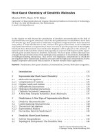 Dendrimers II Episode 3 potx