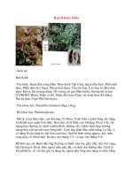 Lý Thuyết Dược Học: BẠCH ĐẦU ÔNG potx